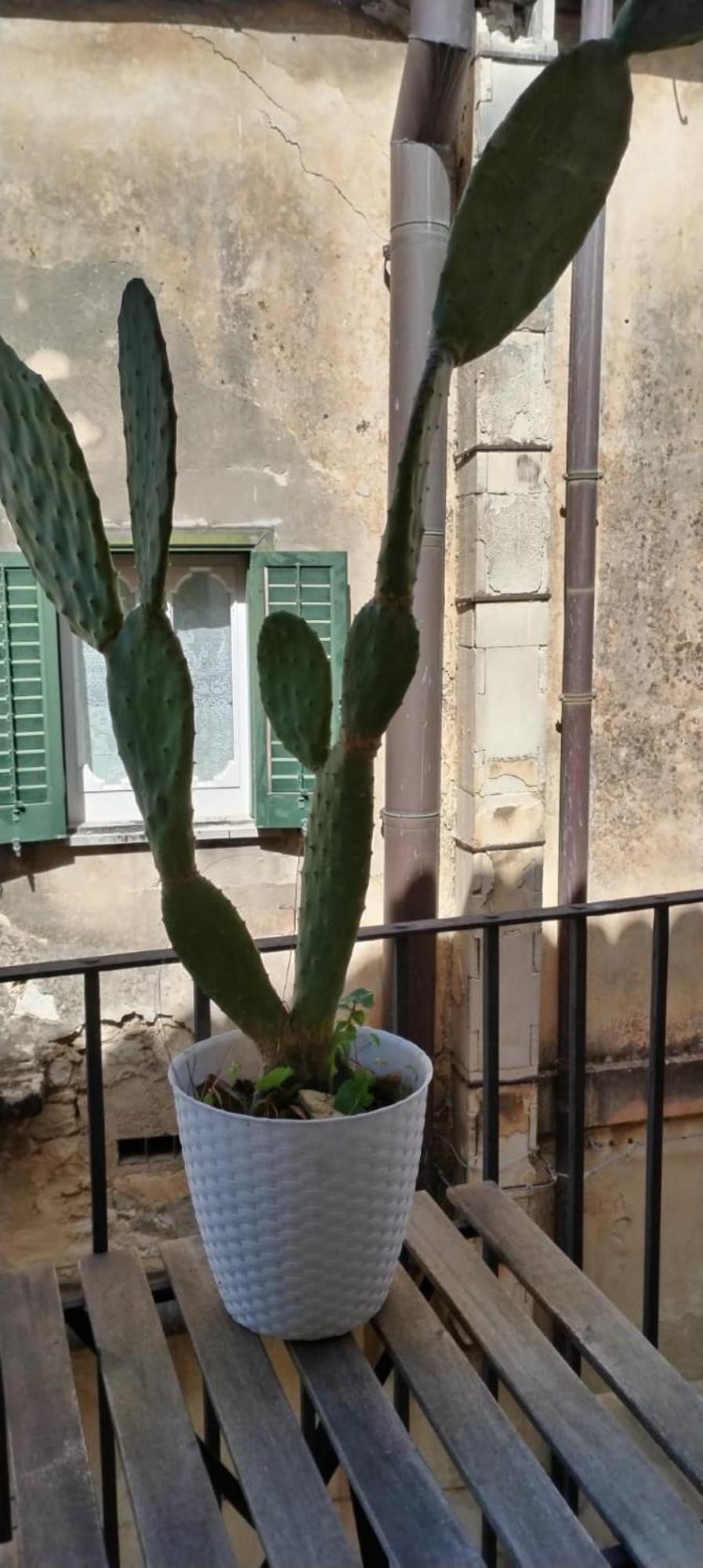Residenza Donnafugata B&B Ragusa Luaran gambar